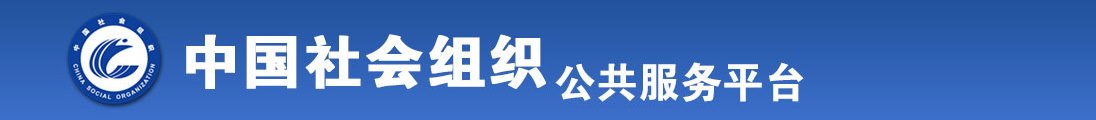 国产河南美女操逼全国社会组织信息查询